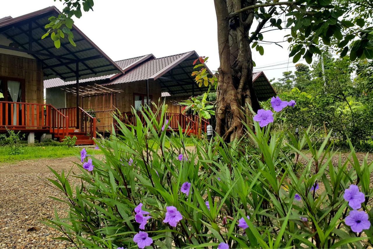 Chiang Dao Reset Hotel Exterior photo