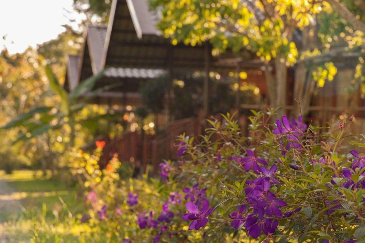 Chiang Dao Reset Hotel Exterior photo