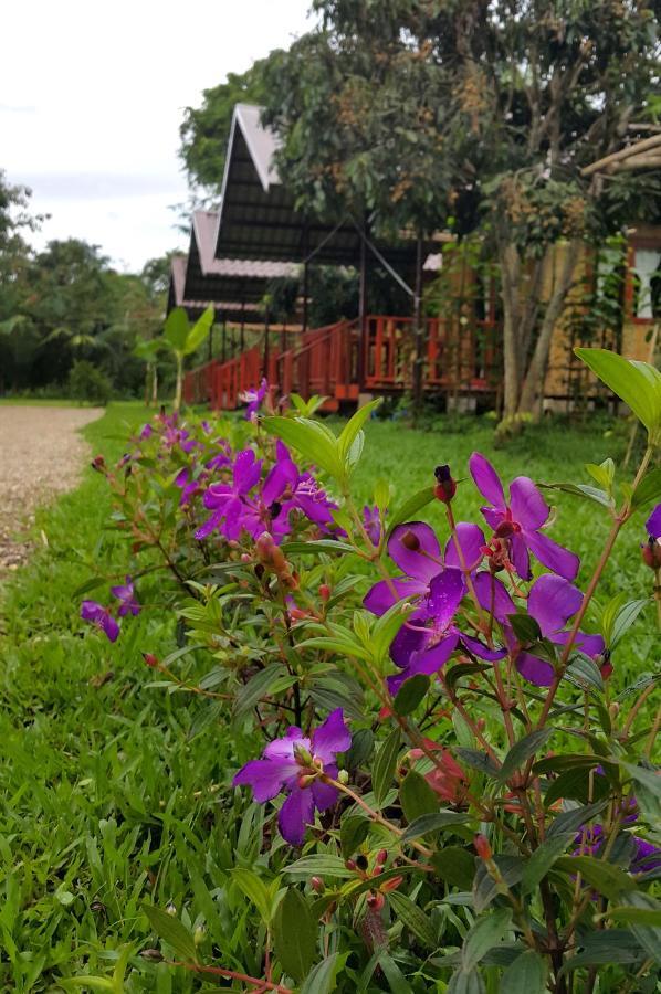 Chiang Dao Reset Hotel Exterior photo